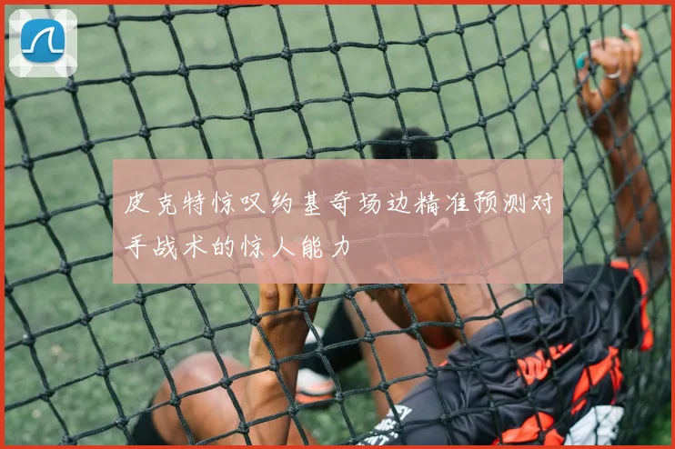 皮克特惊叹约基奇场边精准预测对手战术的惊人能力